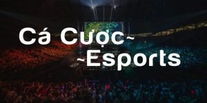 Cá cược Esport TK88: Chinh Phục Đỉnh Cao, Thỏa Mãn Đam Mê